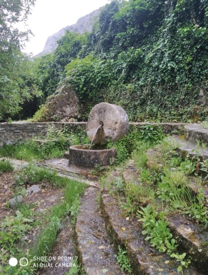 Alojamientos Sierra De Cadiz Benamahoma Exterior foto